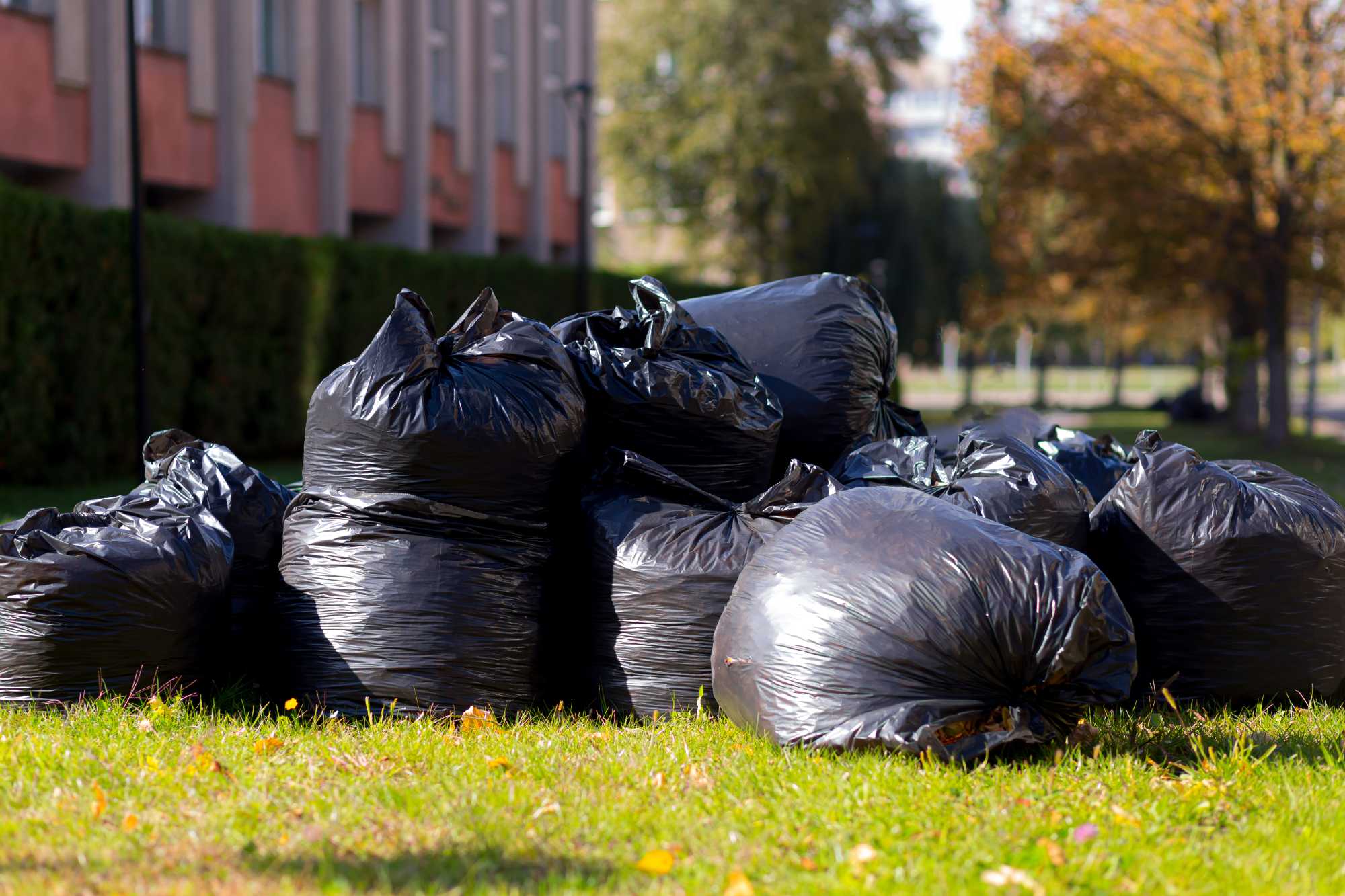 Collection of Rubbish